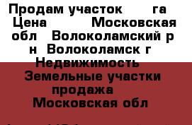 Продам участок 2,05 га. › Цена ­ 190 - Московская обл., Волоколамский р-н, Волоколамск г. Недвижимость » Земельные участки продажа   . Московская обл.